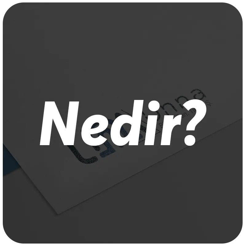 Server Nedir?